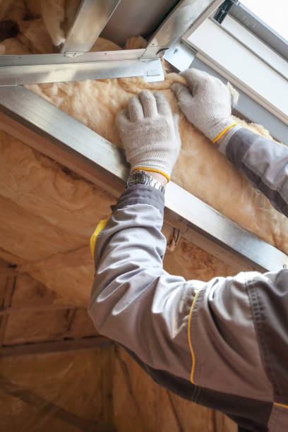 Best Geographic-Specific Insulation Services in Brookhaven, GA