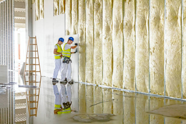 Types of Insulation We Offer in Brookhaven, GA